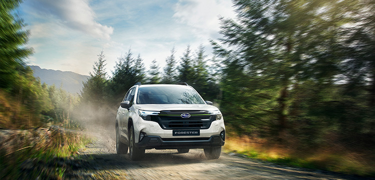 Forester Sonderedition: Forester EDITION EXCLUSIVE CROSS